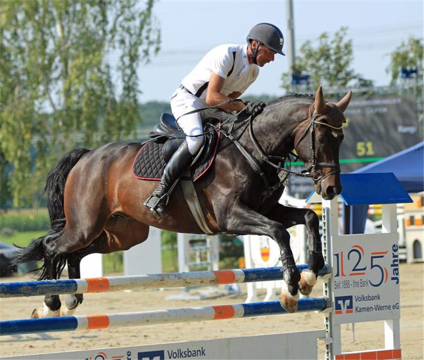 Oliver Schaal gewinnt am zweiten Tag dreimal Mann des Tages: Oliver Schaal, hier während des M-Springens mit Bellico, fuhr am zweiten Turniertag drei Siege ein.
