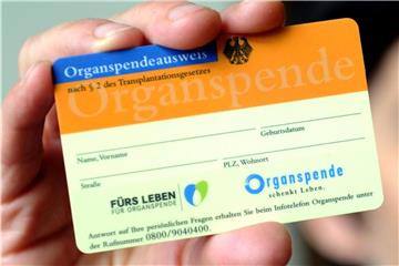 Mann hält einen Organspendeausweis in der Hand. Foto: Caroline Seidel/Archiv