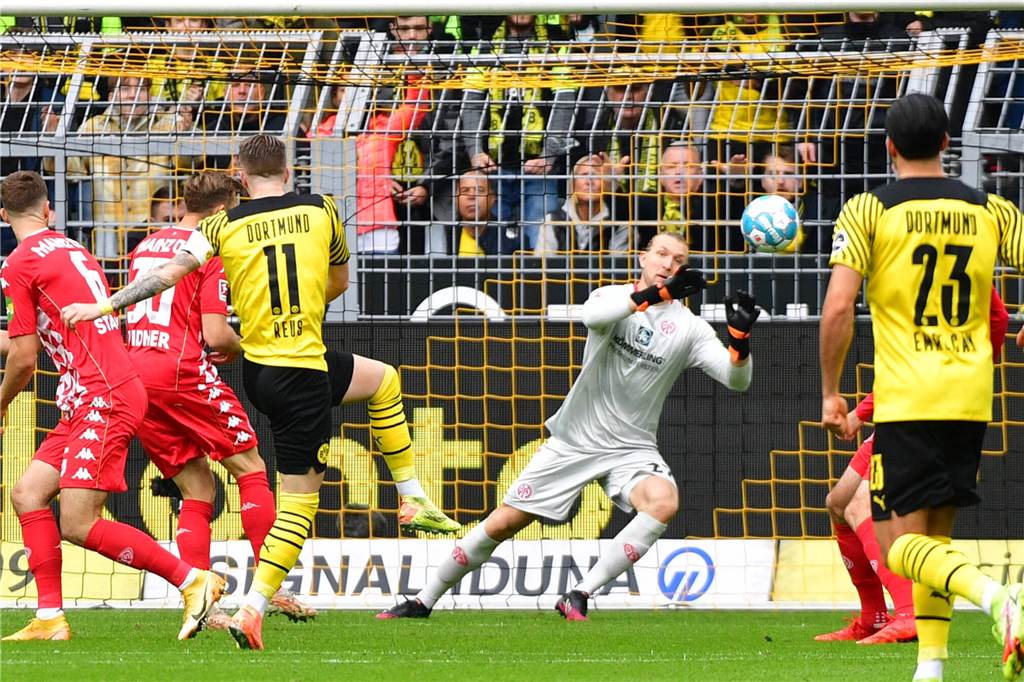 Flugeinlage, Dropkick, Solo: Das sind die fünf schönsten BVB-Tore der Hinrunde Marco Reus stellt gegen Mainz seine Schusstechnik unter Beweis.