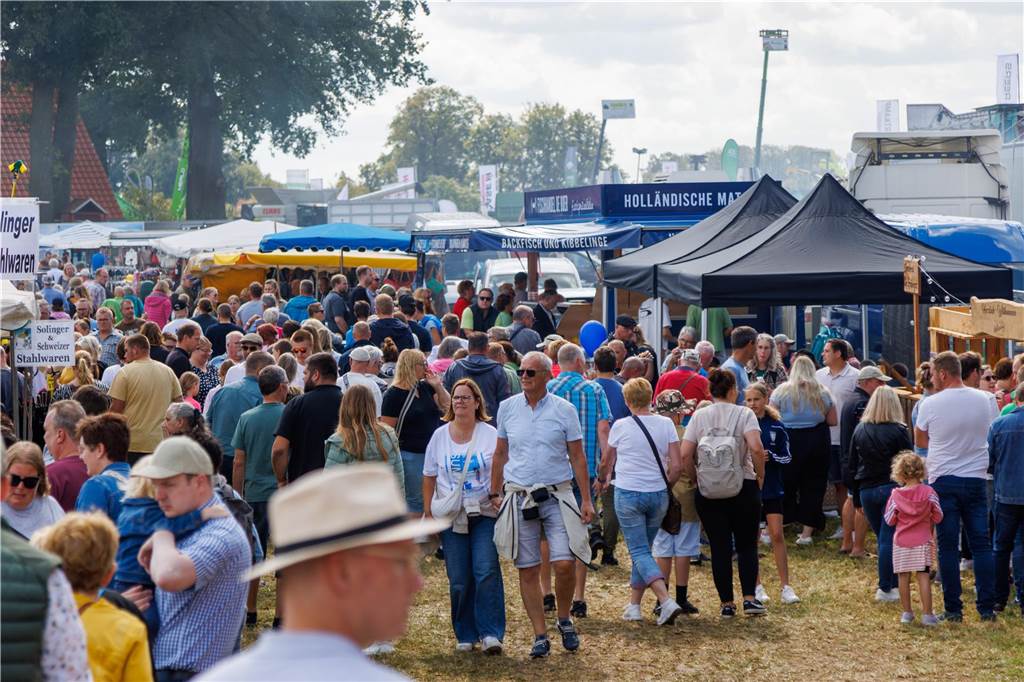 Viele Fotos vom ersten Markttag: Düstermühlenmarkt ist Besuchermagnet