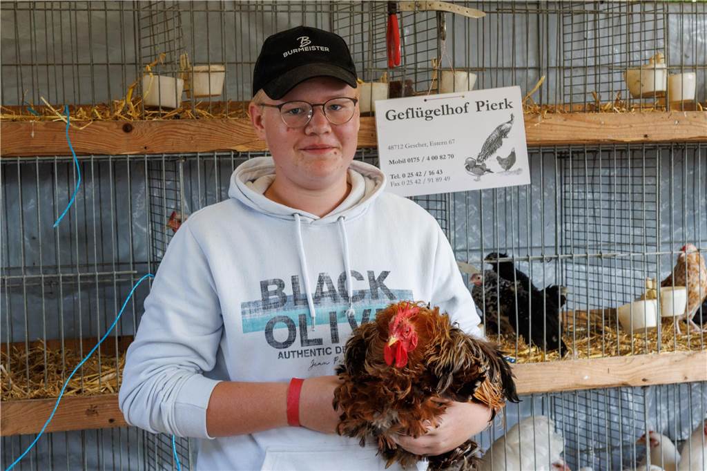 Viele Fotos vom ersten Markttag: Düstermühlenmarkt ist Besuchermagnet