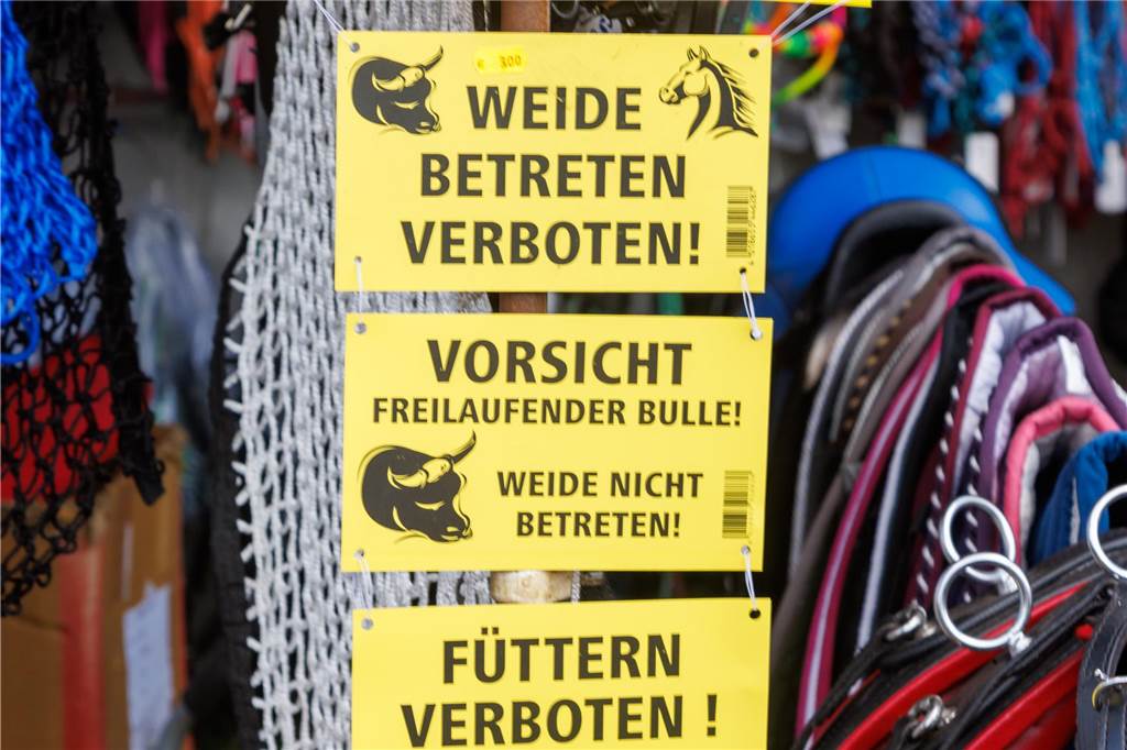 Viele Fotos vom ersten Markttag: Düstermühlenmarkt ist Besuchermagnet