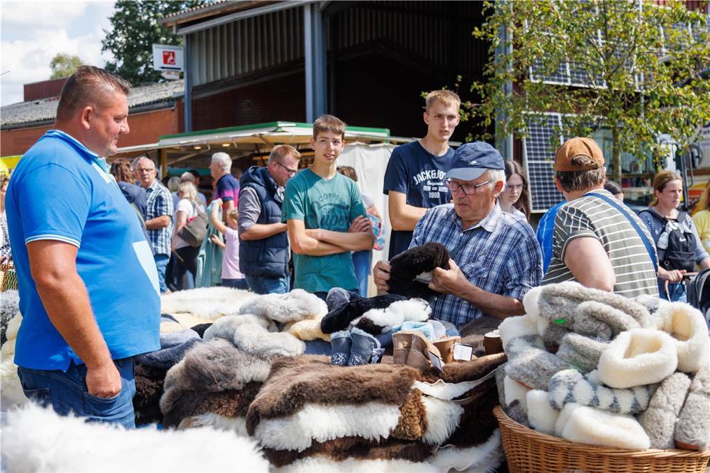 Viele Fotos vom ersten Markttag: Düstermühlenmarkt ist Besuchermagnet