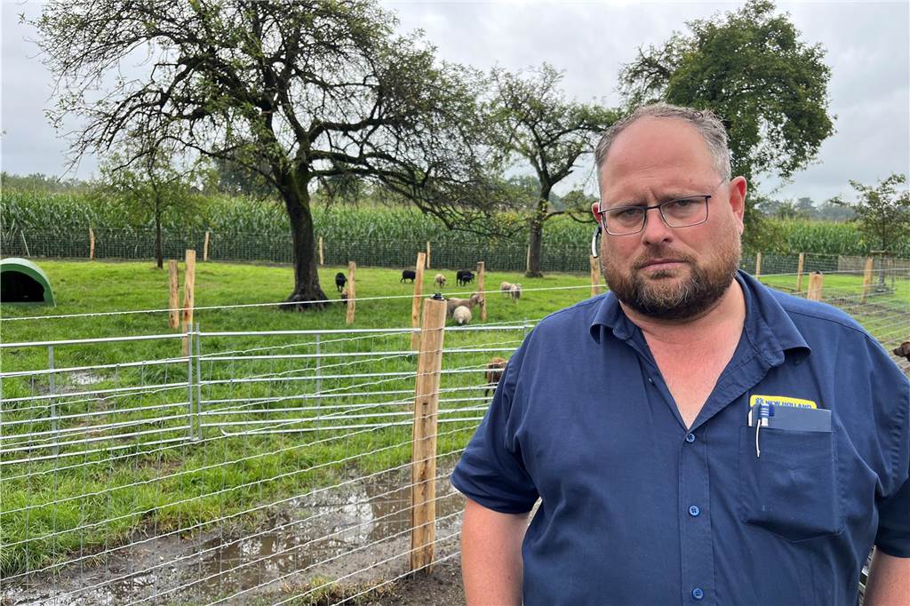 Mutmaßliche Wolfsattacke auf Schafsherde von Familie Sümpelmann Markus Sümpelmann hatte erst vor drei Wochen einen neuen, wolfsabweisenden Zaun um die Schafherde gebaut. Er überlegt nach der Wolfsattacke, wie es weiter gehen soll.