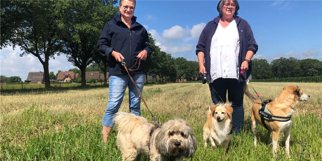 Stadtlohner Hundefreunde müssen weiter auf die Hundewiese warten Martina Tenbrink (l.) und Iris Hecking wollen mit Fiete, Nike und Nanos die Hoffnung auf die Hundewiese im Bockwinkel nicht aufgeben. Sie sind aber skeptisch, dass es in diesem Jahr noch klappt.