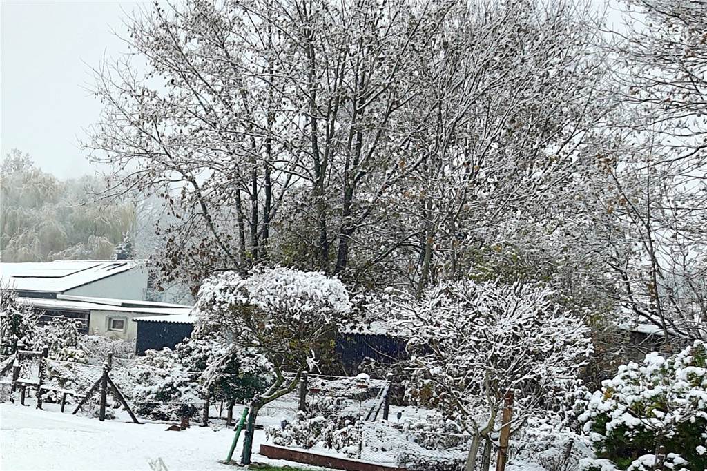Mechthild Silkenböhmer aus Selm hat diese Winterimpressionen festgehalten.