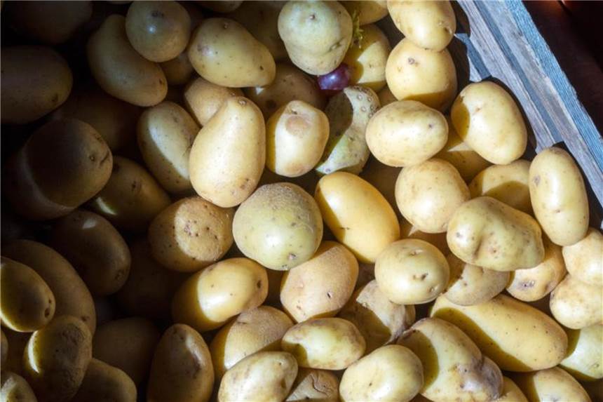 Mehlkochende Kartoffeln sorgen dafür, dass eine Gemüsesuppe cremig schmeckt. Foto: Jens Büttner