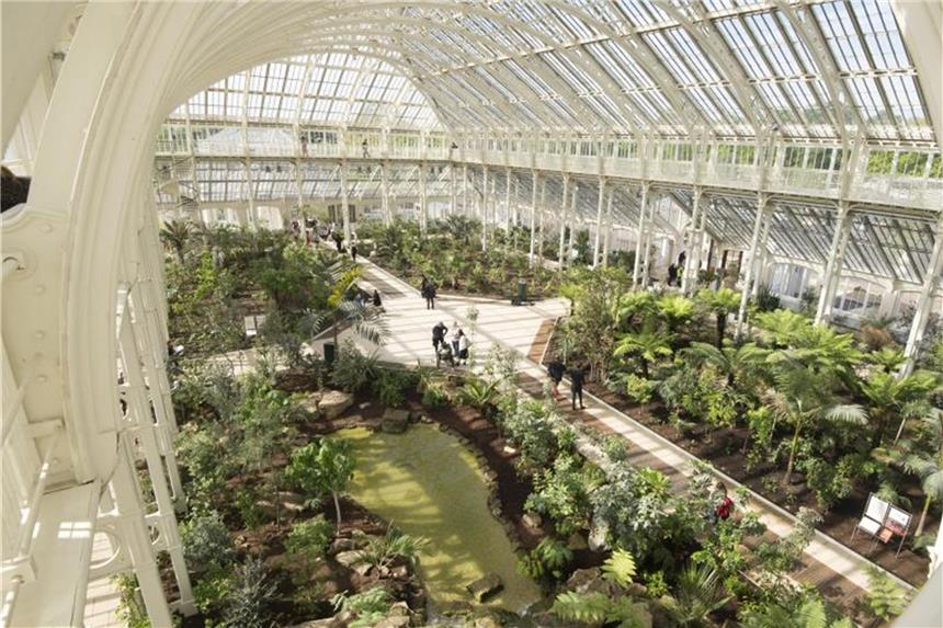 Viktorianisches Gewächshaus Kew Gardens wiedereröffnet Mehr als 1500 Arten sind hier zu sehen: Das Gewächshaus Temperate House im botanischen Garten Kew Gardens in Großbritannien hat wieder geöffnet. Foto: Jeff Eden/RBG Kew