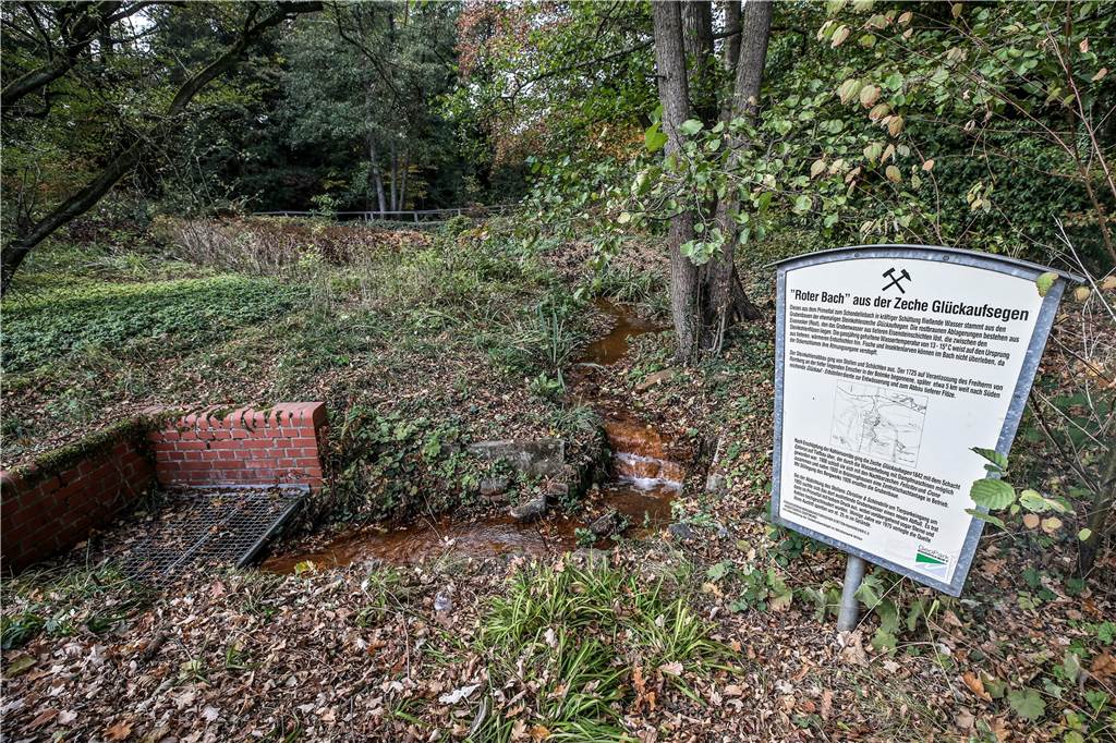 Das sind die letzten aktiven Bergleute von Dortmund Mehr als 30 Infotafeln zum Bergbau pflegt der Arbeitskreis in Dortmund - wie hier am „Roten Bach“ im Rombergpark.