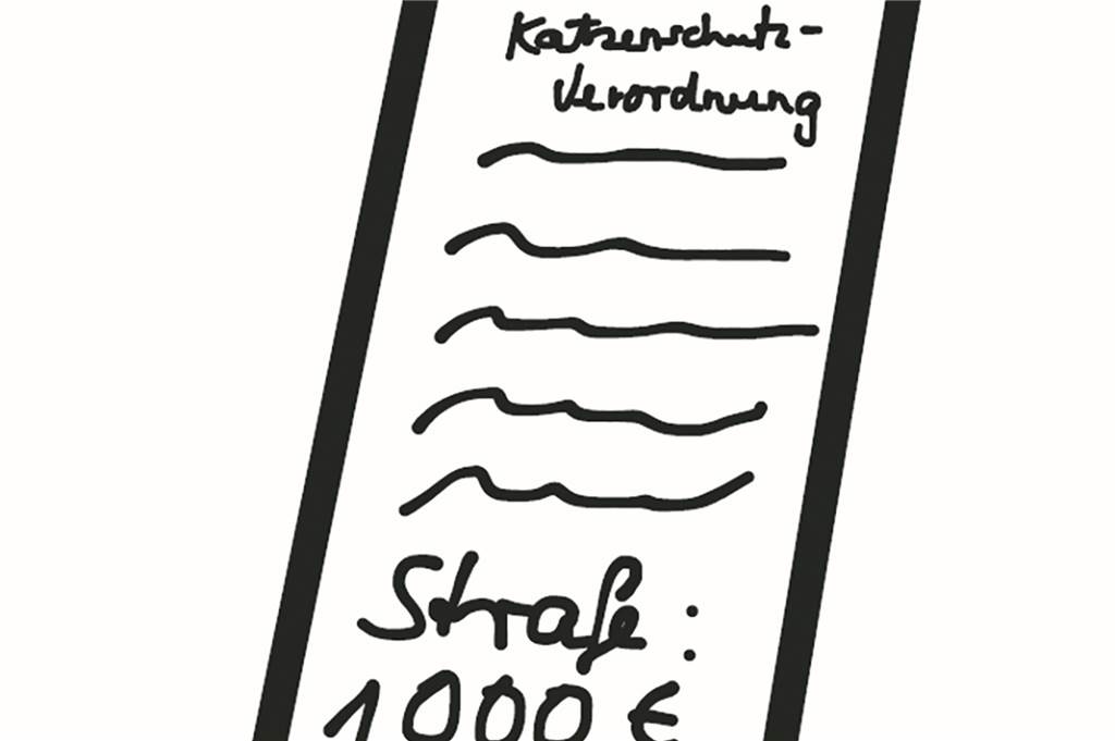 Der verrückte Weg zum Kastrationsgipfel für Katzen - und was dahinter steckt Mehr als 700 andere deutsche Städte haben zwar nicht mehr frei lebende Katzen als Dortmund, doch sie haben eine Katzenschutzverordnung. Der Norbert und die Beate haben immer nur Ausreden.
