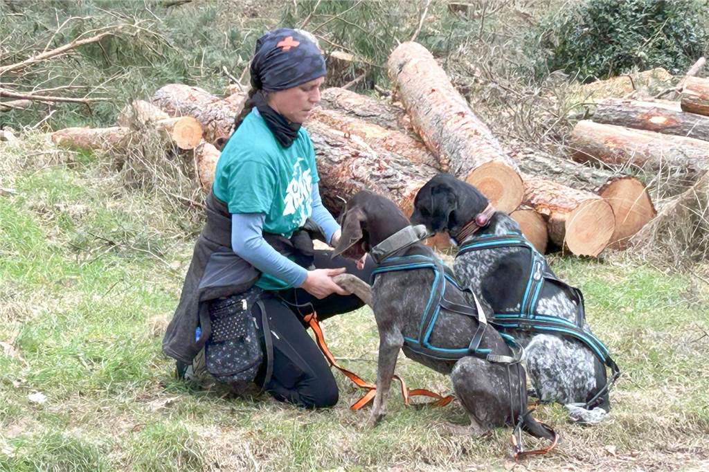 Die Gassi-Runde wird zum Fitnesstraining: Dorstenerinnen bieten Sport mit Hund an Hundebesitzerin dehnt die Vorderläufe ihrer Hunde durch leichtes Ziehen