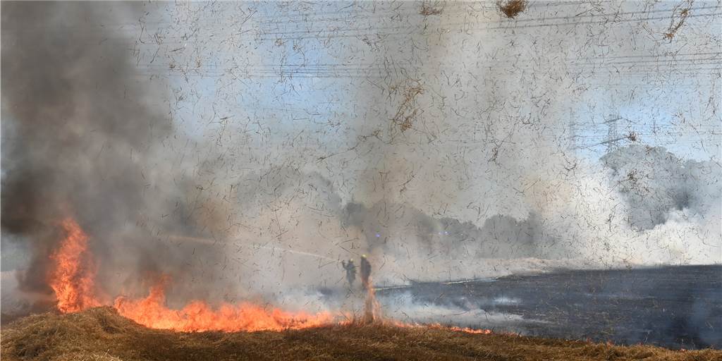 Zwei Brände auf einem Feld in Dorsten hintereinander - Brandstiftung? Feuer auf einem Stoppelfeld in Dorsten