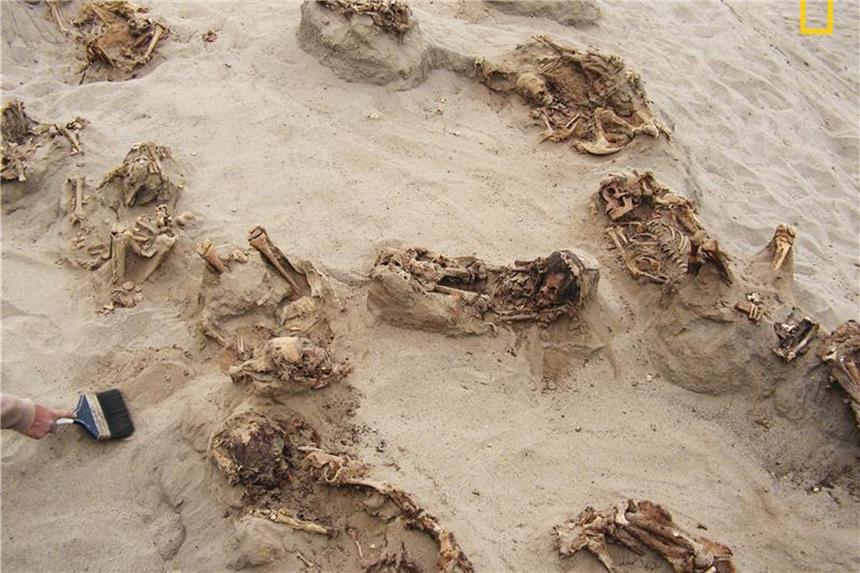 Archäologen entdecken Massengrab mit geopferten Kindern Mehrere der über 500 Jahre alten Skelette an ihrem Fundort Huanchaquito-Las Llamas. Foto: Gabriel Prieto/National Geographic