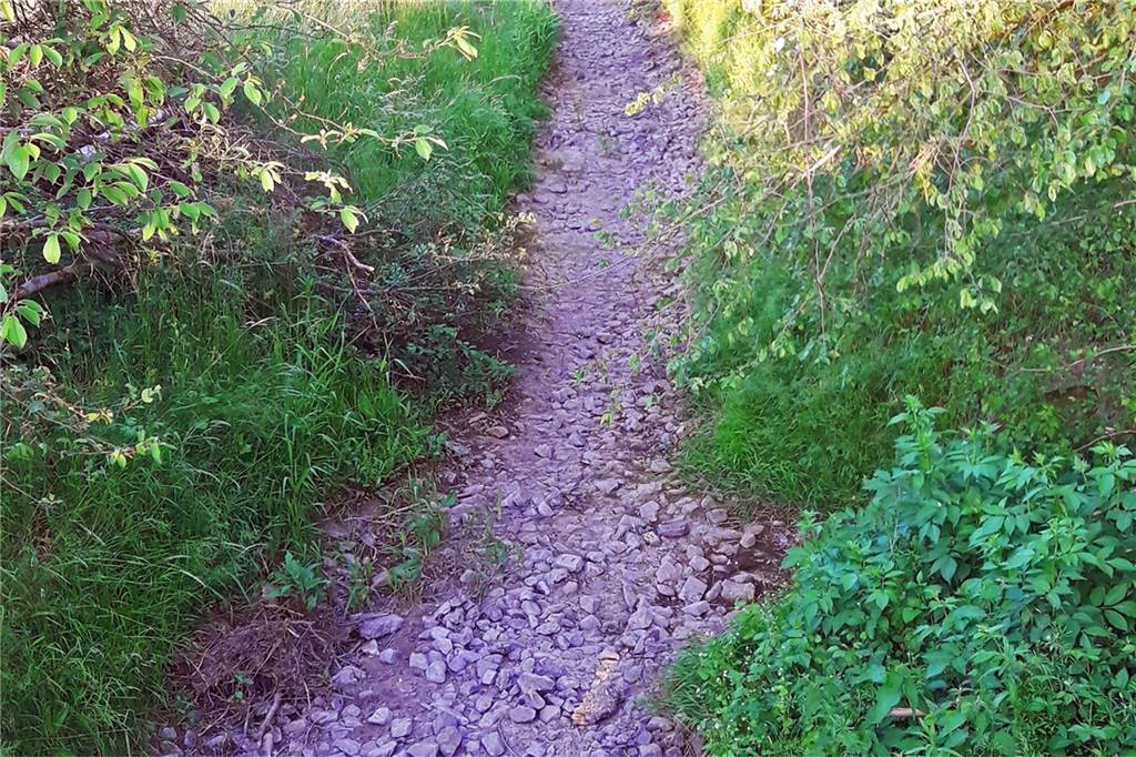 Mehrfach ist der Ölbach in den vergangenen Jahren trocken gefallen.
