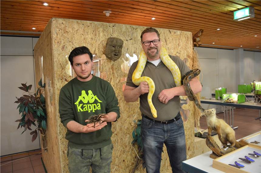 Halterner bewundern 130 lebende Spinnen, Schlangen und Insekten in der Seestadthalle Meikel (l.) und sein Vater Andreas Liebe präsentierten am Wochenende unter anderem eine (v.l.) Lasiodora parahybana, eine Albino Königspython und eine Boa Constrictor Imperator.