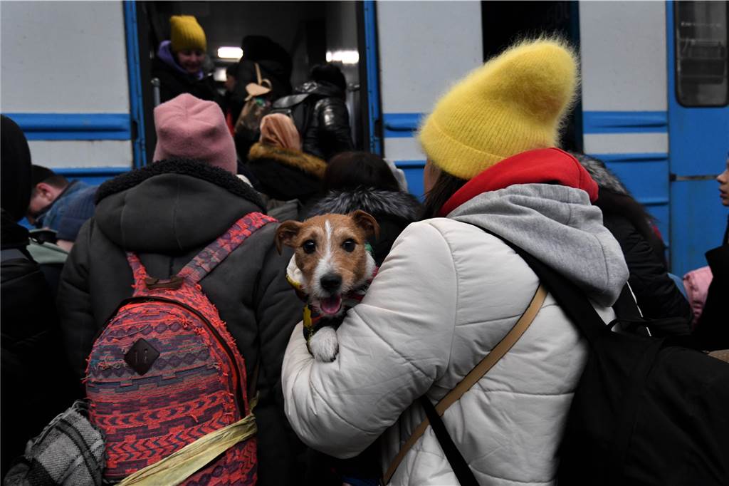 Trauer-Experten: „Die Familien haben dem Tod ins Auge geblickt“ Menschen werden durch einen Bahnhof in Lviv in der Ukraine evakuiert. Viele Familien wurden bei der Flucht auseinandergerissen.