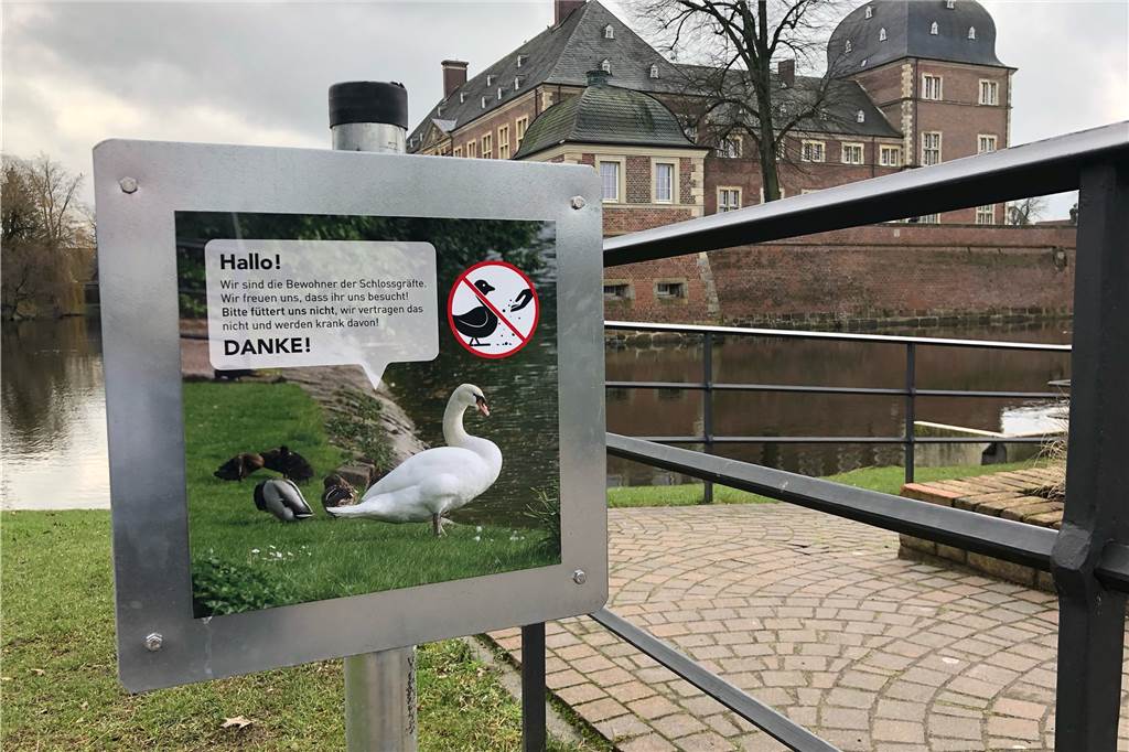 Futter für Schwäne und Enten aus einem alten Kaugummi-Automaten "Menschenfutter" kann für die Schwäne und Enten, die in der Schlossgräfte leben, tödlich sein.