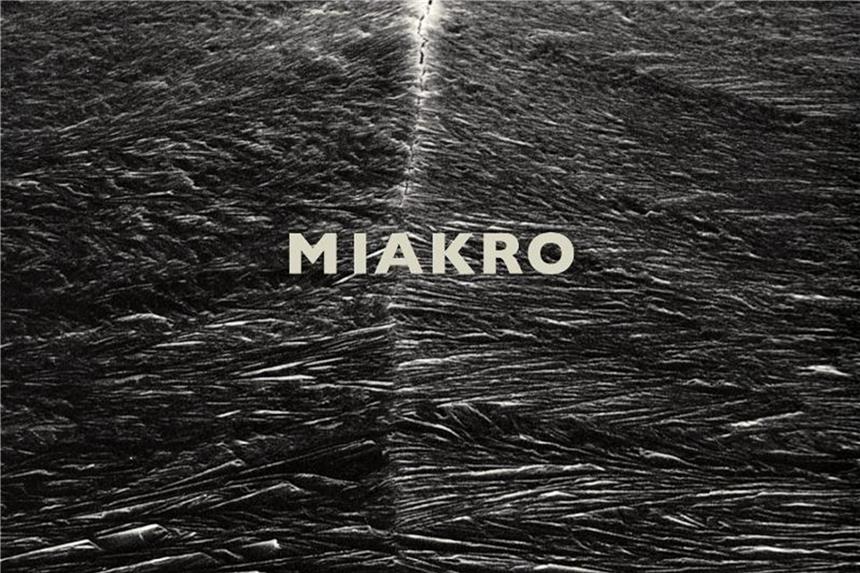 Das Büro, die Alienmutter: der SciFi-Roman „Miakro“ „Miakro“ von Georg Klein. Foto: Rowohlt Verlag