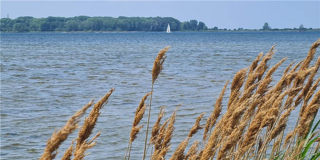 Michael Meier hat seinen Urlaub an der Ostsee in Rerik und Zierow genossen.