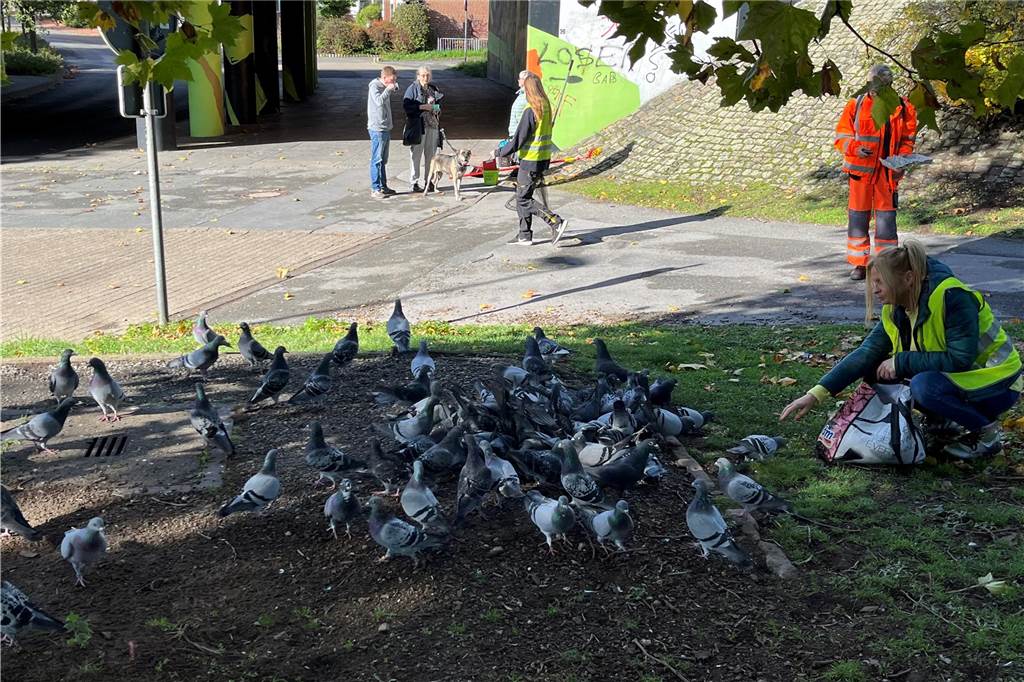 Michaela Belling füttert regelmäßig die Tauben an der Stadttorbrücke in Lünen