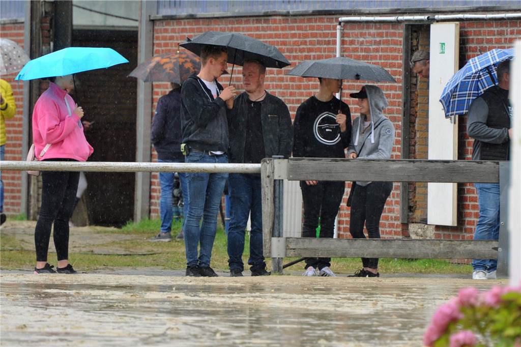 Mit Dauerregen mussten sich Reiter, Pferde und Zuschauer bei den Stadtlohner Reitertagen 2023 arrangieren. Alle Seiten machten das Beste draus. 