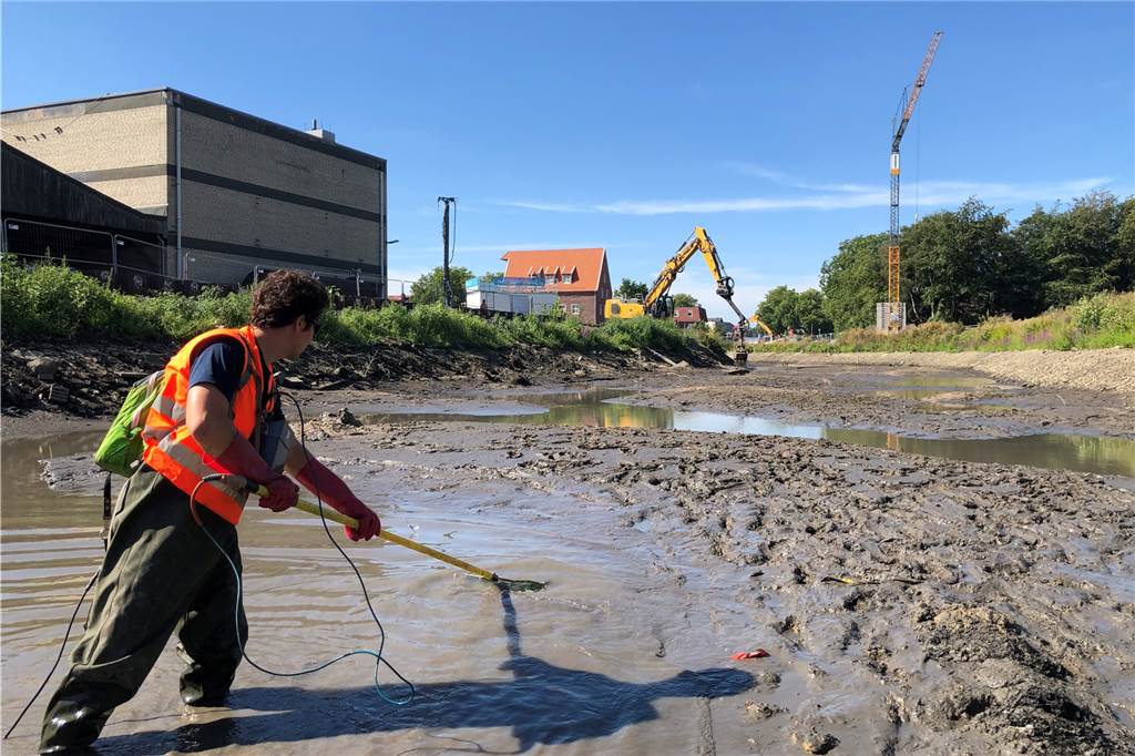 Biologen retten über 1000 Fische und Muscheln aus der trockengelegten Berkel Mit dem Elektro-Kescher fängt der Biologe Jan Lindner die in den Pfützen der trockengelegten Berkel verbliebenen Fische, um sie an anderer Stelle wieder aussetzen zu können.