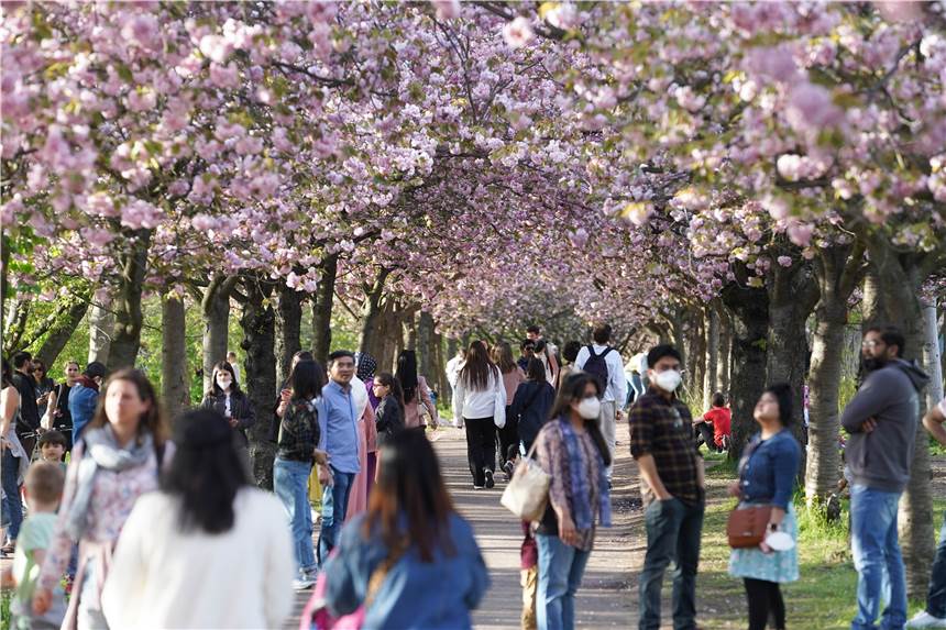 Ist Corona nach der Omikron-Welle wirklich vorbei? Vier Zukunftsszenarien für Herbst und Winter Mit dem Frühling wird die Omikron-Welle wahrscheinlich auslaufen. Das Coronavirus ist damit aber nicht für immer verschwunden.