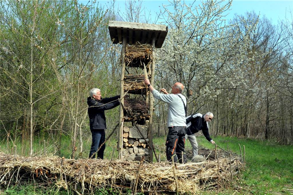 Fahrlehrer Udo Edelmeier hat umgesattelt: Jetzt macht er Apfelsaft Mit dem „Lebensturm" wollen (v.l.) Uwe Hollop, Udo Edelmeier und Peter Molczyk verschiedenen Insekten und Kleintieren ein Zuhause geben.