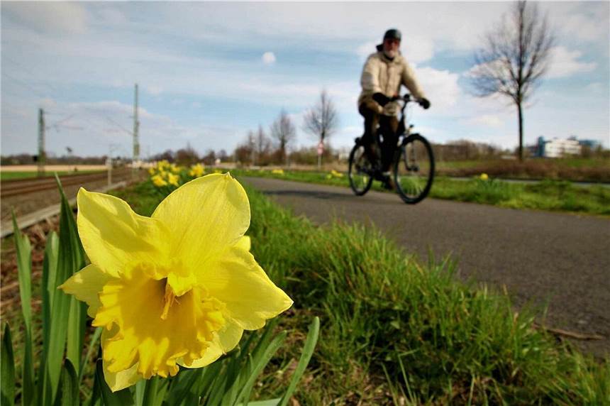 Törtchen oder Bahntrasse: 100 Radausflüge mit dem ADFC Mit dem Rad rund um Unna oder durch die Region. 100 Touren bietet der ADFC für das kommende Jahr an. Ab Januar gibt‘s das Programm der Fahrradclubs auch gedruckt.