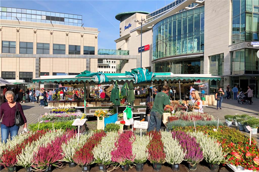 Mit dem Wochenmarkt wird der Hansaplatz in Dortmund mittwochs und samstags zu einem beliebten Treffpunkt. Freitags dagegen gibt es nur ganz wenige Marktstände vor dem Karstadt-Haupthaus. Der Wunsch ist es, auch diesen Markttag zu attraktivieren und insgesamt den Hansaplatz öfter zu einem Erlebnisort zu machen.