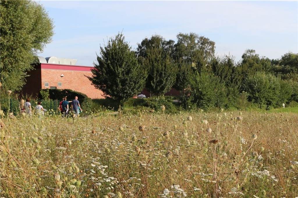 „Wohnen an der Schlinge": Stimmungsbild zum Bauprojekt ist eindeutig Mit der Entscheidung des Rates ist nun Planrecht geschaffen. Die Fraktionen bieten dazu den Bürgerinnen und Bürgern den Austausch an.
