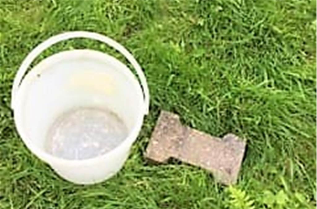 Grausame Tat: Jugendlicher (16) in Dortmund schlägt Igel tot Mit diesem Stein wurde der Igel vermutlich erschlagen. Auch der Stock eines Schrubbers kam zum Einsatz.