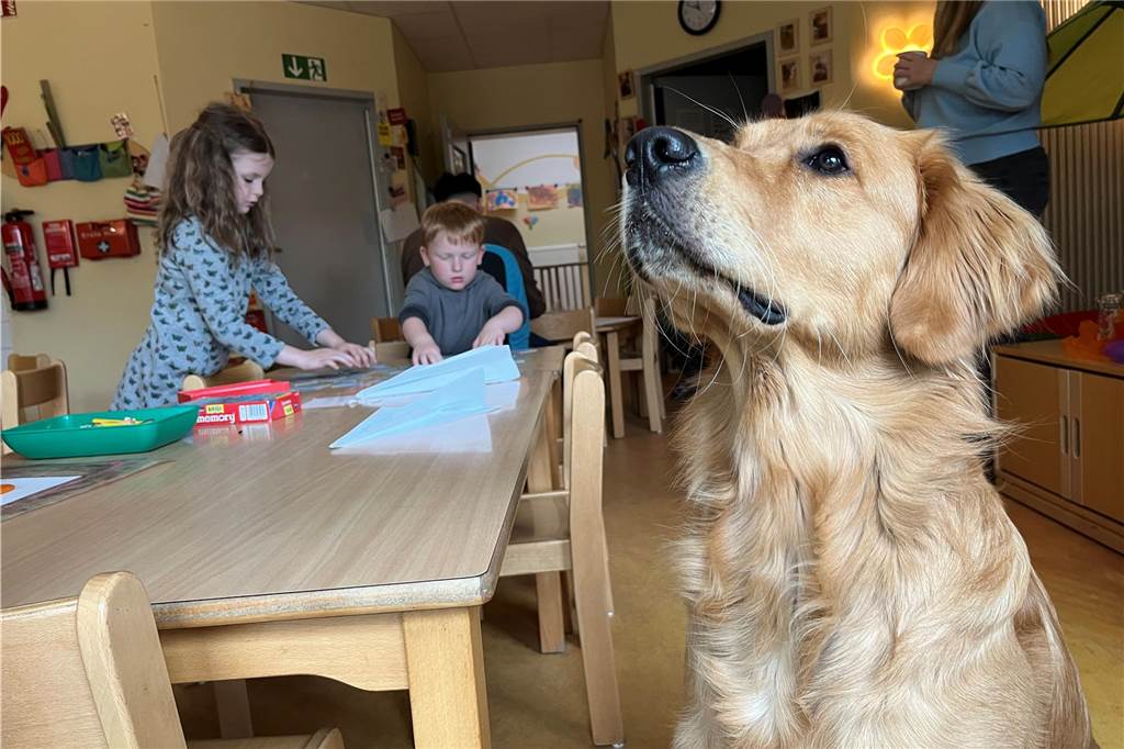 Alleskönner: Was Erzieher im Lummerland jeden Tag für Kinder leisten Mit einem geschickt gehaltenen Leckerchen posiert Kita-Hund Harry im Lummerland fürs Foto.