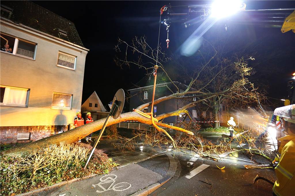 Orkan Sabine in NRW: Bahnverkehr normalisiert sich, Haus wird abgerissen Mit einem Kran zog die Feuerwehr den Baum vom Mehrfamilienhaus herunter.