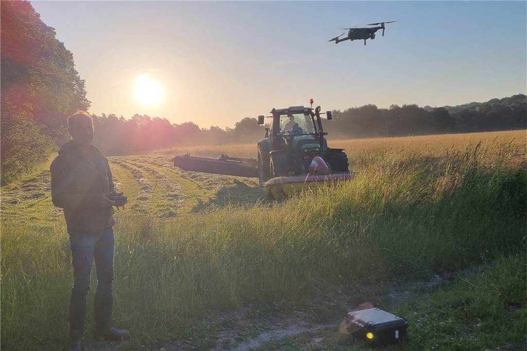 „Tiere vor qualvollem Tod retten“: Axel Tiede (59) rettet Rehkitzen das Leben Ein Mann steuert eine Drohne auf einem Feld, während die Sonne aufgeht. Ein Mähdrescher fährt über das Feld.