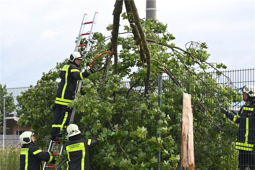 Unwetterwarnung in Dorsten: Sturm sorgt für Feuerwehreinsätze Mit einer Säge bearbeiteten die Einsatzkräfte am Endelner Feld den abgebrochenen Baum.