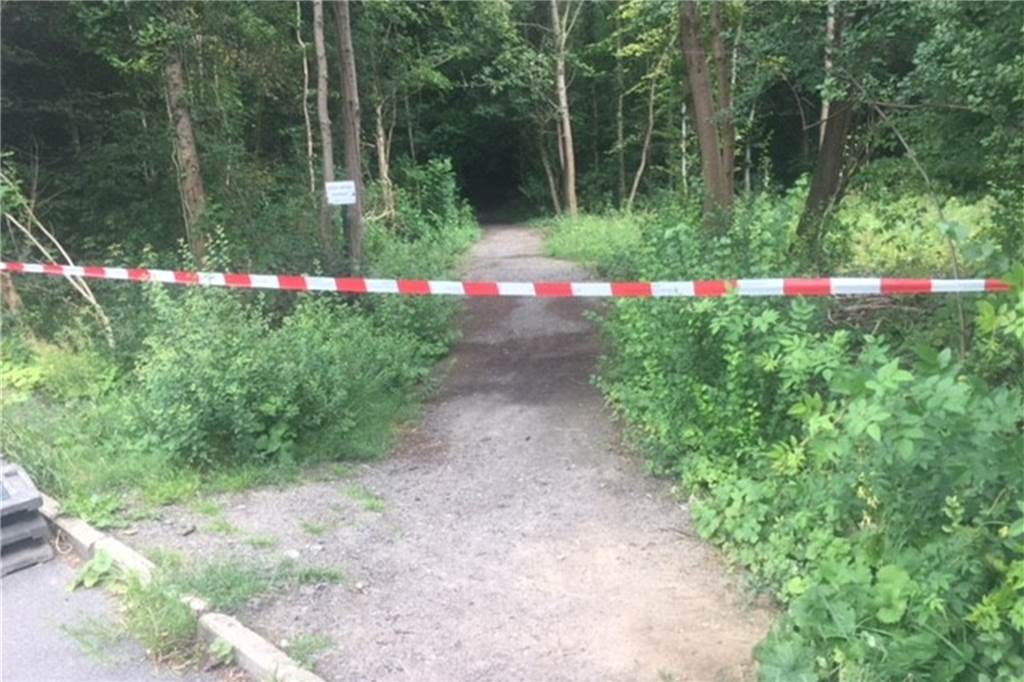 So geht der Streit um Raupen-Nester für Waldbesitzer Dieter Kuhne aus Mit Flatterband hatte Waldbesitzer Dieter Kuhne vor dem Eichenprozessionsspinner im Wald von Beckinghausen gewarnt. Die Nester wollte er aber nicht auf eigene Kosten entfernen lassen.