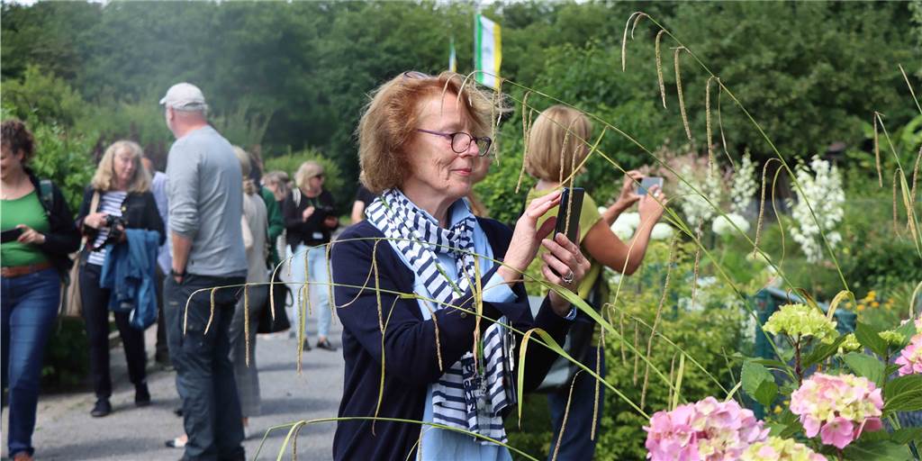 Schönster Kleingarten Deutschlands? Jury nahm Castroper Anlage unter die Lupe Mit Foto und Video halten die Jurymitglieder ihre Eindrücke aus der Anlage des KVG Am Schellenberg fest.