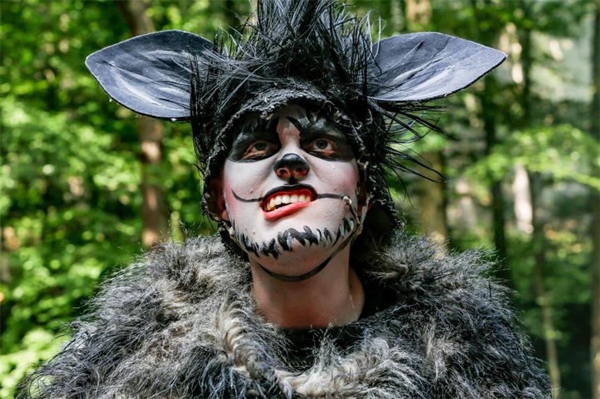Warum darf die Naturbühne "Simba" nicht mehr zeigen? Mit großem Aufwand hat das Hohensyburger Amateurtheater "Simba" auf die Bühne gebracht. Am Wochenende musste das Stück eingestellt werden.