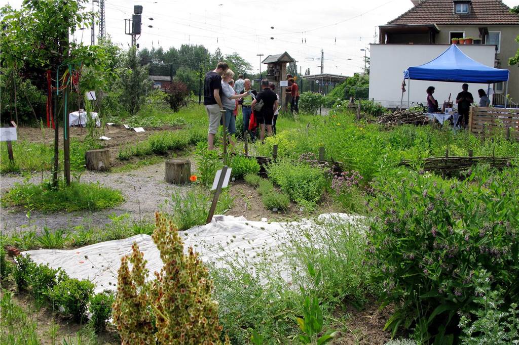 Umbau des Bahnhofs-Quartiers: Nabu muss seinen Naturgarten aufgeben Mit großem Engagement legte der Naturschutzbund Haltern am See vor Jahren einen Naturgarten am Bahnhof an