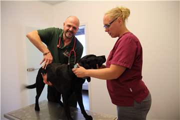Mit Hunden und anderen Fluchttieren kennt sich der Nienborger Tierarzt Björn Becker aus. Er weiß, warum sie sich vor der Silvesterknallerei fürchten.