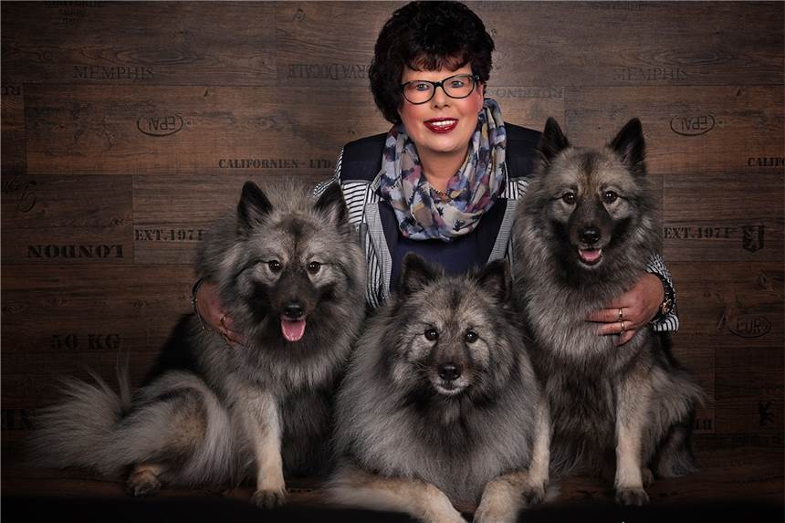 Drei Wolfsspitz-Hündinnen sind Helfer auf vier Pfoten Mit ihren drei Wolfsspitz-Hündinnen Aimeé-Lara, Casey und Lara geht Ute Kaiser auch auf Hundeschauen.