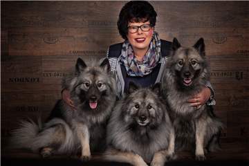 Mit ihren drei Wolfsspitz-Hündinnen Aimeé-Lara, Casey und Lara geht Ute Kaiser auch auf Hundeschauen.