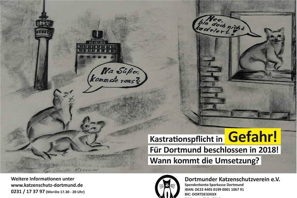 Streit um Kastrationspflicht: Katzenschützer drohen jetzt der Stadt Mit mehr als 70 Plakaten wirbt der Dortmunder Tierschutzverein, unterstützt von der Firma Stroer, für die Einführung einer Kennzeichnungs- und Kastrationspflicht für freilaufende Katzen in Dortmund.