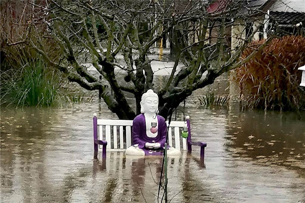 Mit stoischer Ruhe harrte der Buddha in der Kleingartenanlage Amsel auf seiner Bank aus, während die Beete und Wiesen ringsherum von den Wassermassen der Ruhr geflutet wurden.
