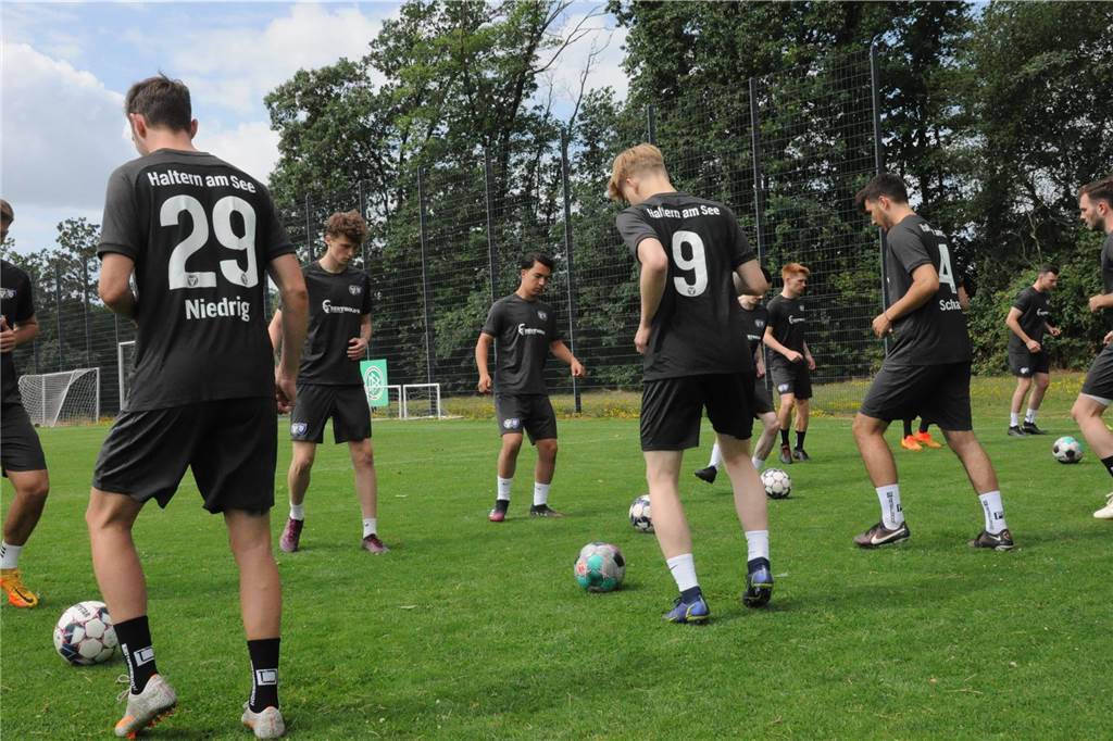 Mit vier externen Neuzugängen und vier Spielern aus der eigenen A-Jugend als Verstärkungen ist der TuS Haltern am See in die Vorbereitung auf die Westfalenliga-Saison 2023/24 gestartet.