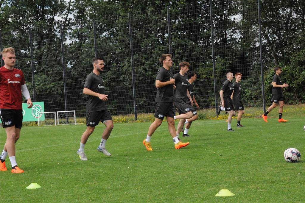 Mit vier externen Neuzugängen und vier Spielern aus der eigenen A-Jugend als Verstärkungen ist der TuS Haltern am See in die Vorbereitung auf die Westfalenliga-Saison 2023/24 gestartet.