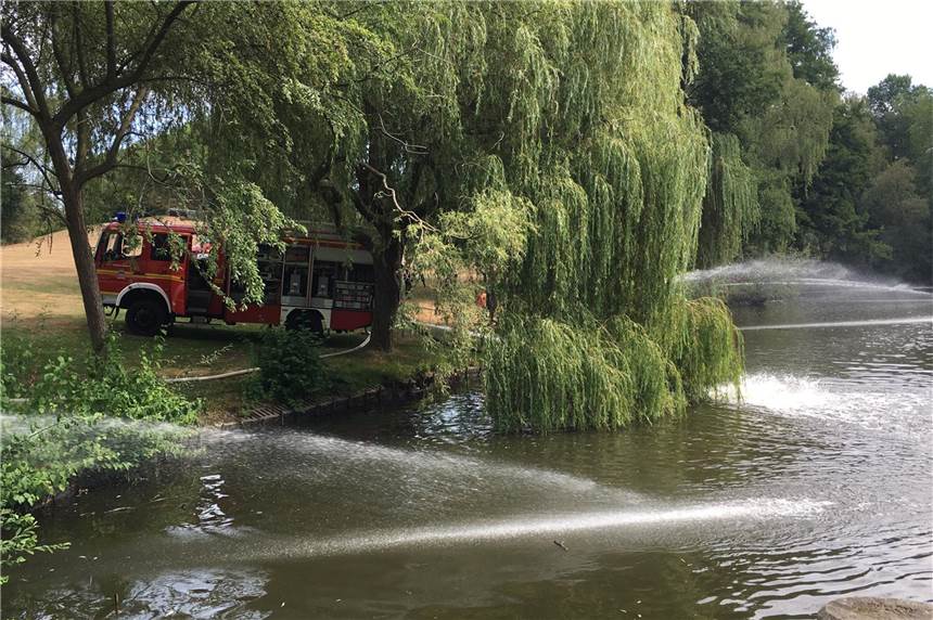 Mit zwei Pumpen hat die Feuerwehr am Samstag und Sonntag den Teich im Losbergpark belüftet, um die Fische zu retten.