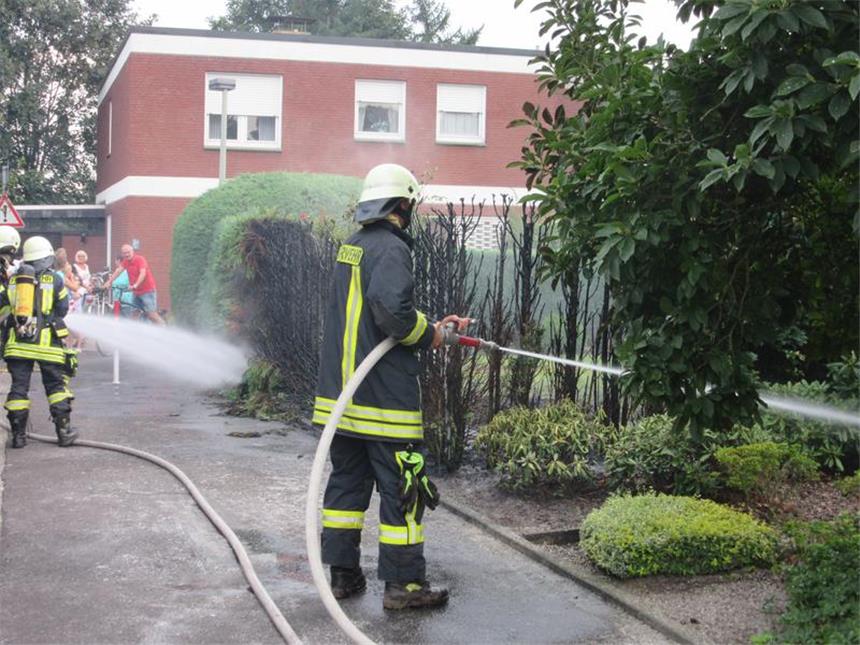 Feuerwehr löscht brennende Hecke Mit zwei Rohren hat die Feuerwehr den Heckenbrand gelöscht.