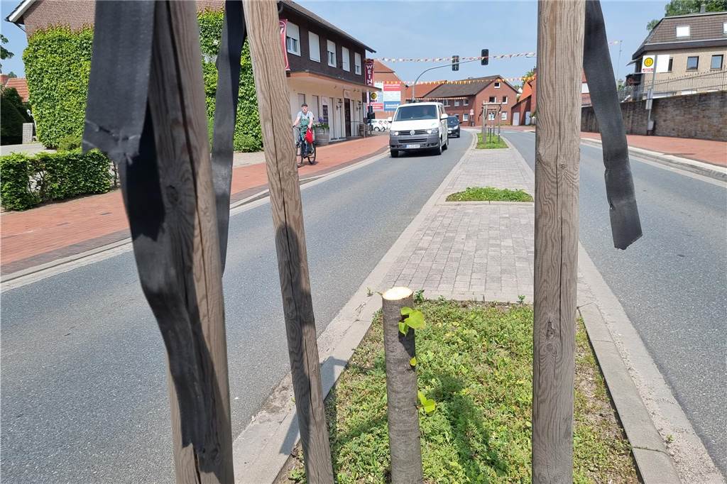 Mitarbeiter des Bauhofes mussten am Sonntagmorgen anrücken, um die abgesäbelten Bäume aus den Stützvorrichtungen zu entfernen. Neuanpflanzungen wird es erst im Herbst geben.